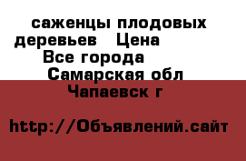 саженцы плодовых деревьев › Цена ­ 6 080 - Все города  »    . Самарская обл.,Чапаевск г.